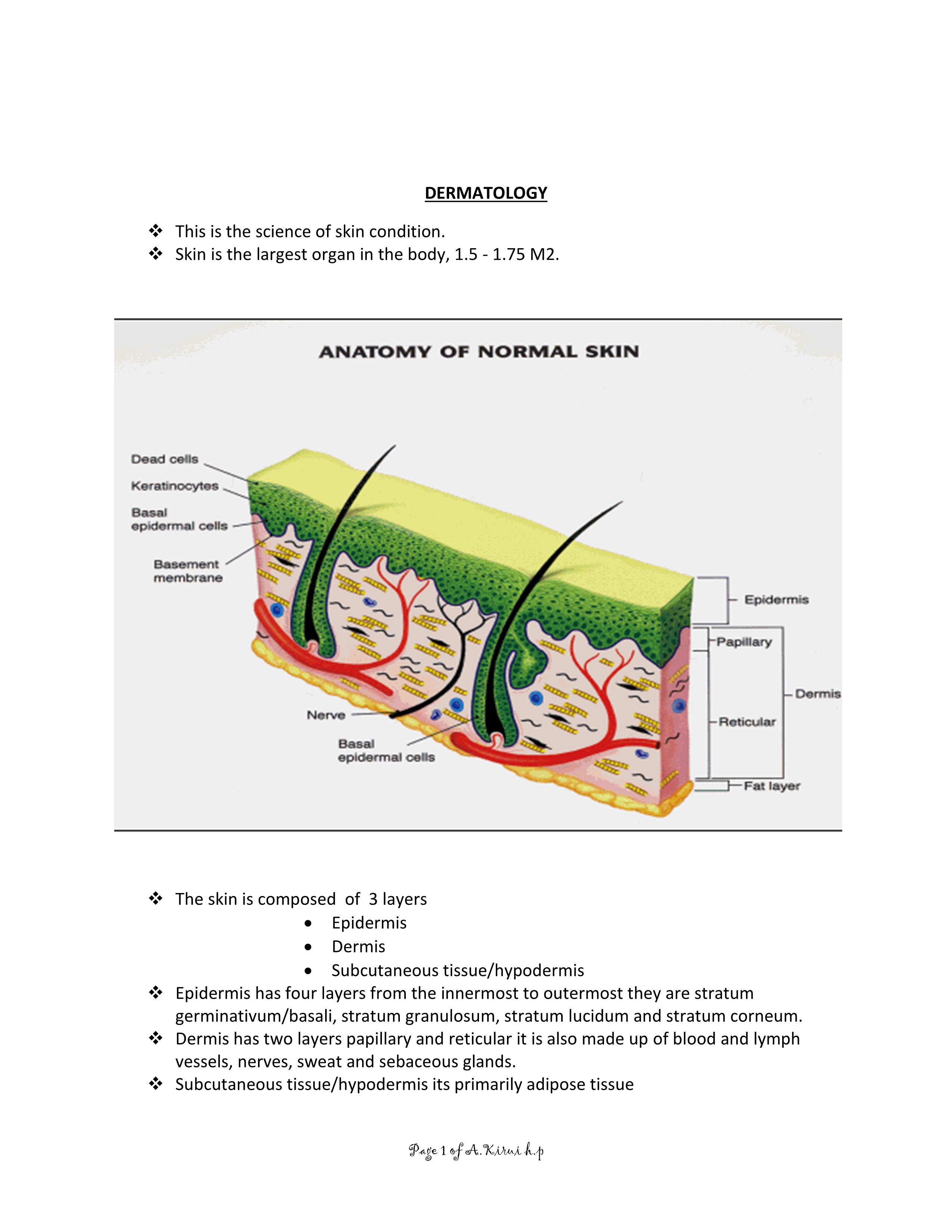 No preview available